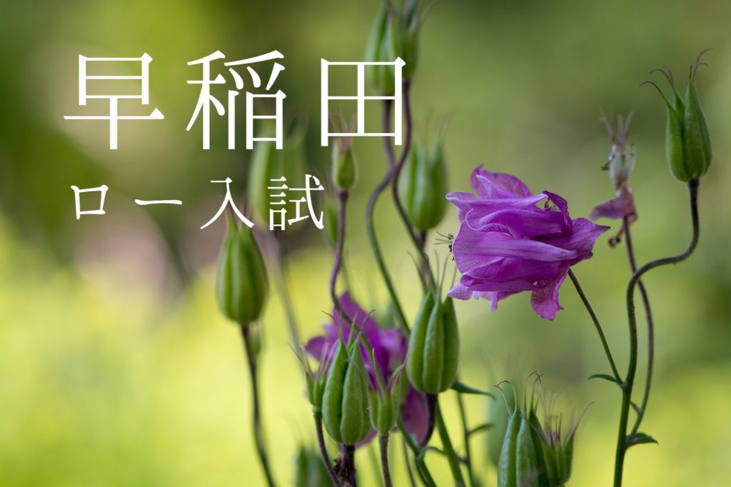 【ステメン添削実感】早稲田大学ロースクール（2021入学年度）