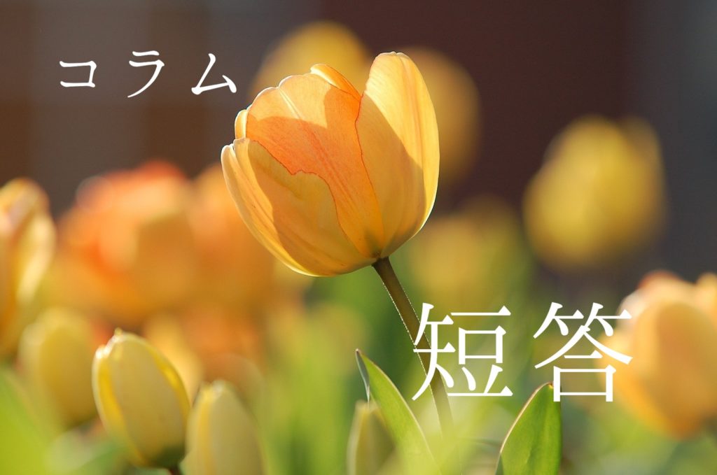 短答勉強法　肢別正答率の活用法