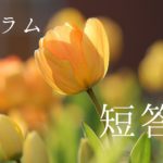 短答勉強法　肢別正答率の活用法