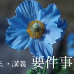 【要件事実】「新問題研究　要件事実」を勉強しよう【予備試験対策】