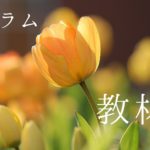 司法試験・予備試験の使用教材まとめ（2021年11月）