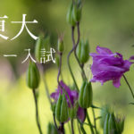 【国立ロー対策】東大ロー入試の注意点