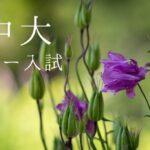 中大ローリハ企画（2021年2月17日実施）